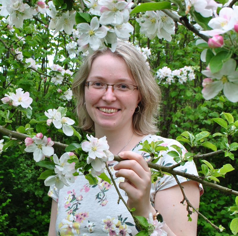 BROMMI in den Medien BROMMI